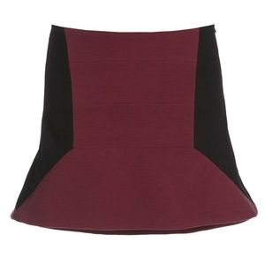 Mini Skirt